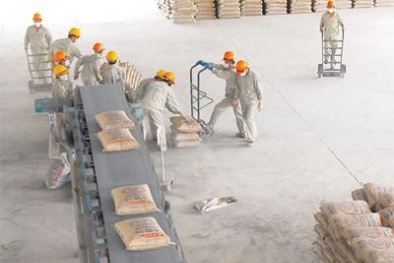 Cuối năm xi măng có thể 'đội' giá